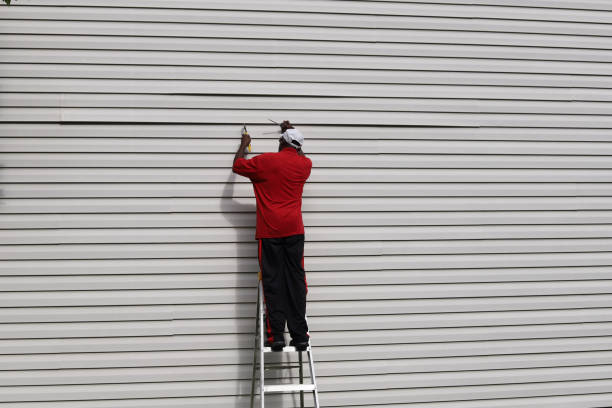 Best Custom Trim and Detailing for Siding  in North Les, AK